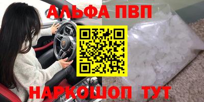 дмт Кингисепп