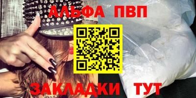 дмт Кингисепп