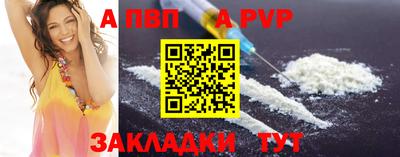 дмт Кингисепп