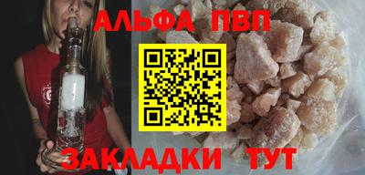дмт Кингисепп