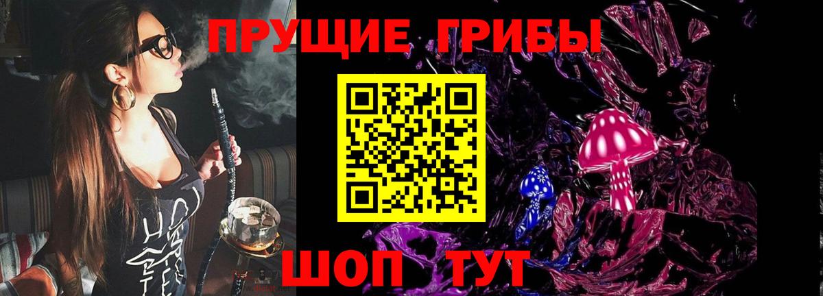 Экстази  Кузнецк  МЕФ кристаллы  АМФ   Вход с VPN  Каннабис  ГАШ  Гашиш 