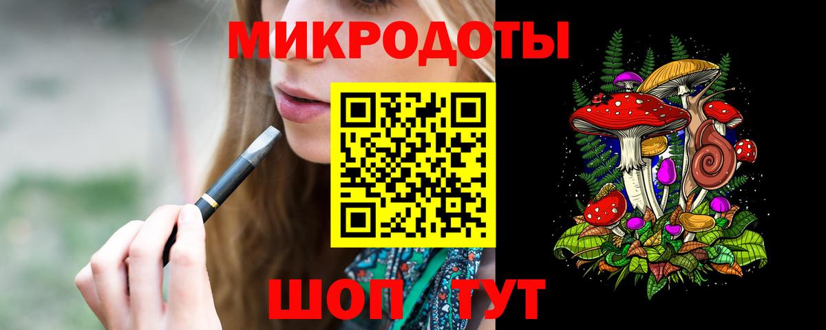 Галлюциногенные грибы Psilocybe Кузнецк
